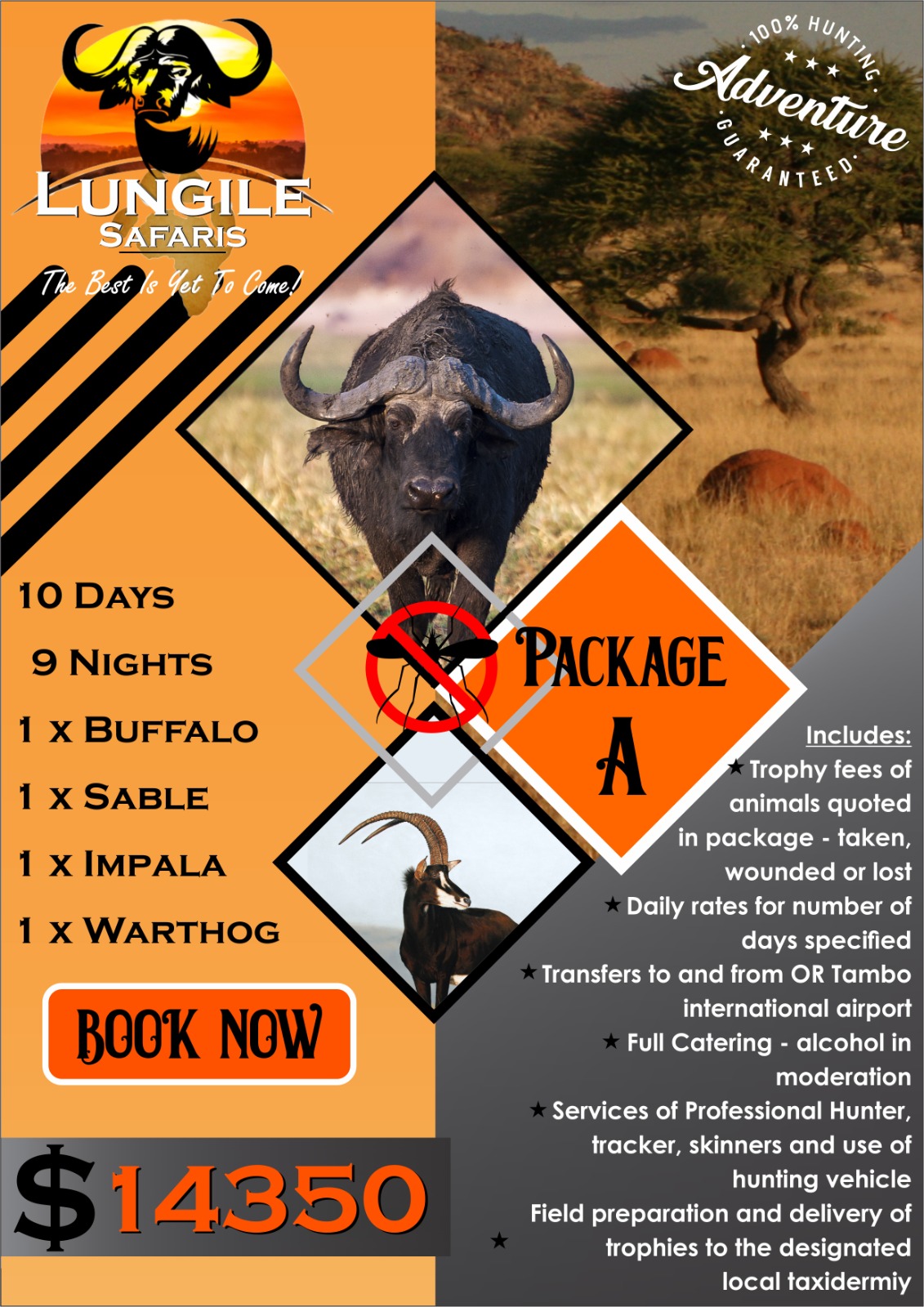 Lungile Safaris Package A
