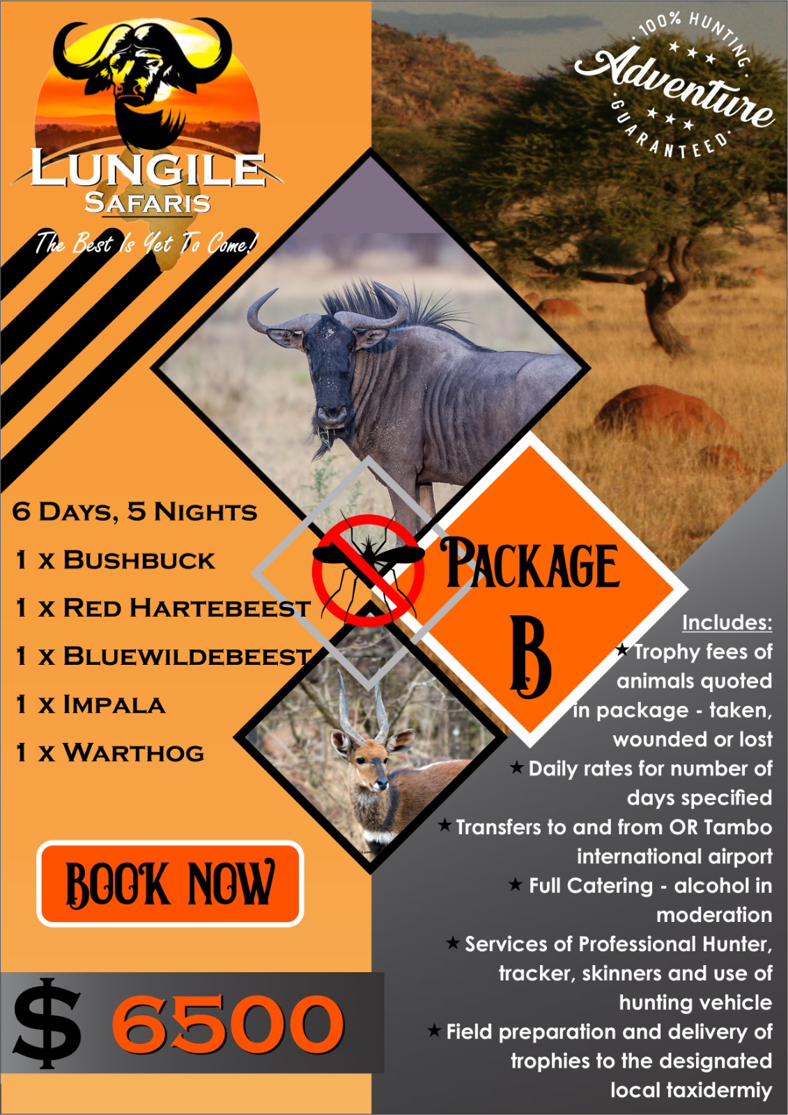 Lungile Safaris Package B