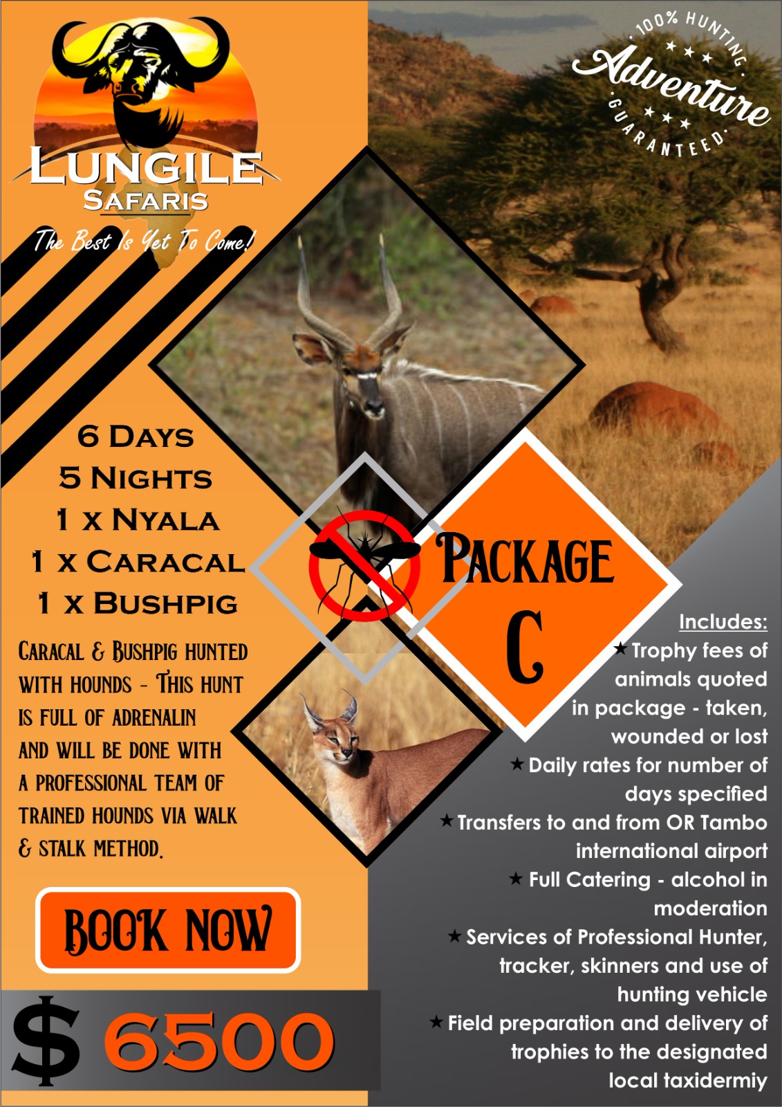 Lungile Safaris Package C