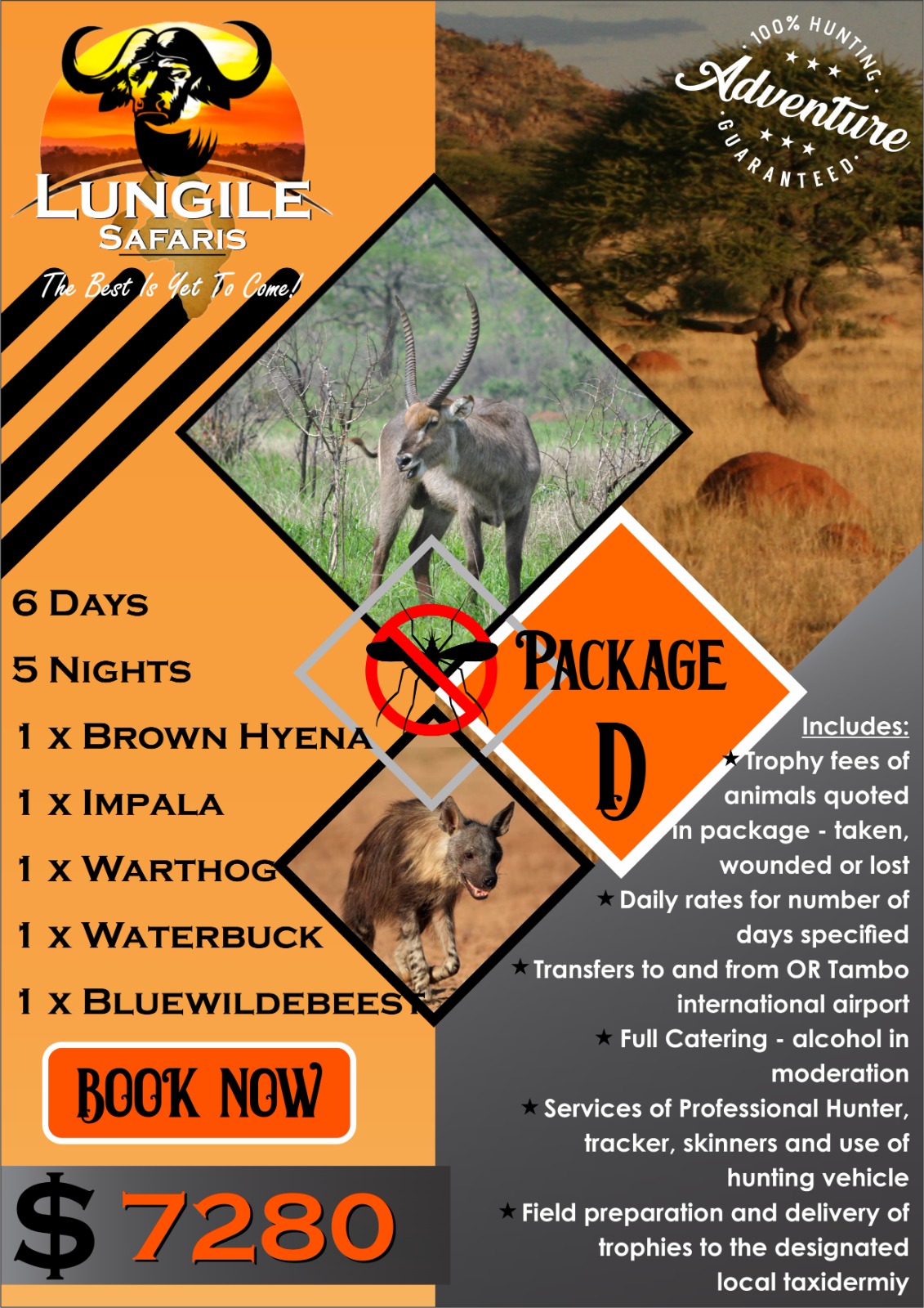 Lungile Safaris Package D
