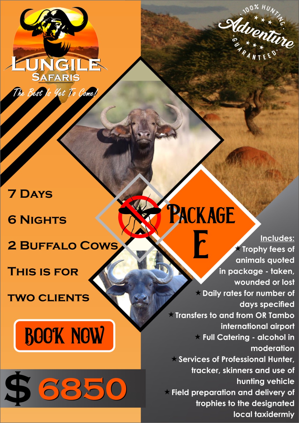 Lungile Safaris Package E
