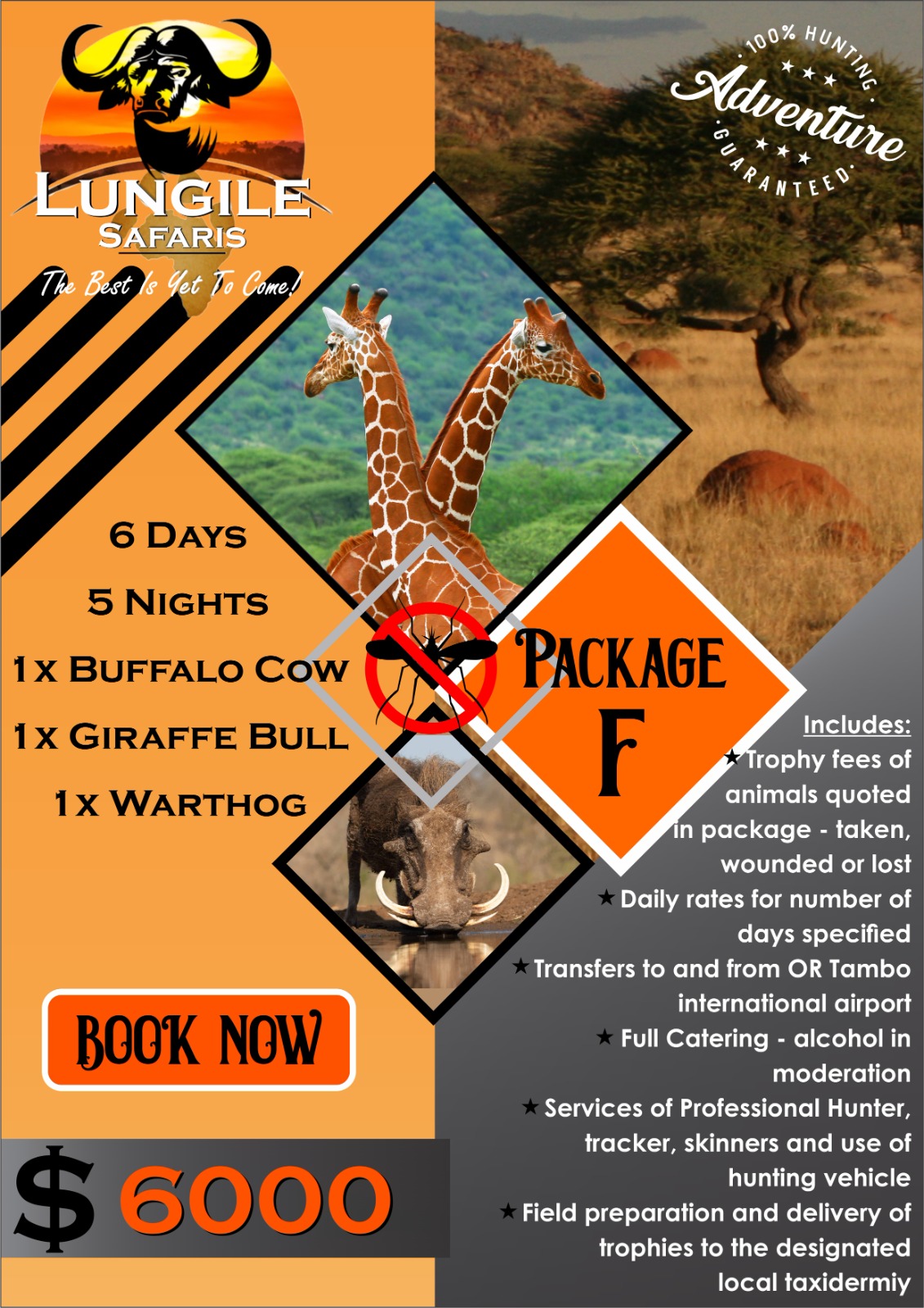Lungile Safaris Package F