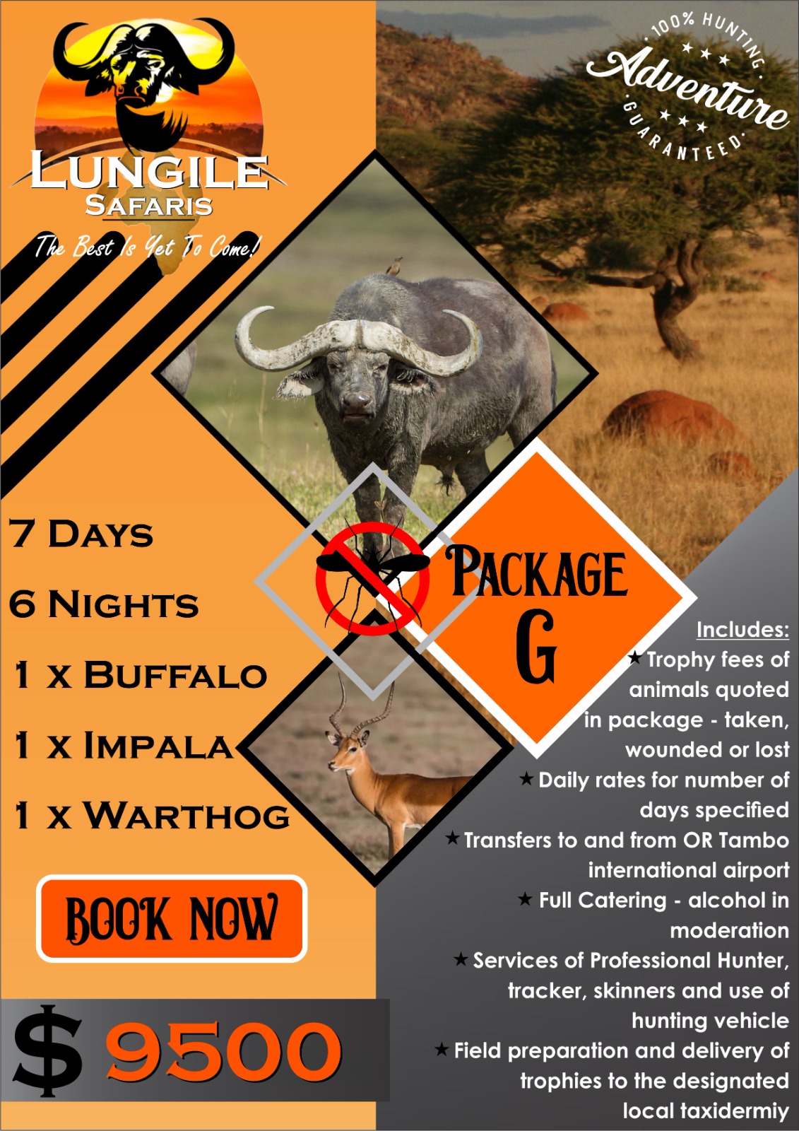 Lungile Safaris Package G