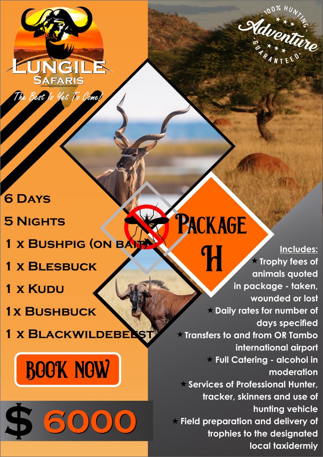 Lungile Safaris Package H