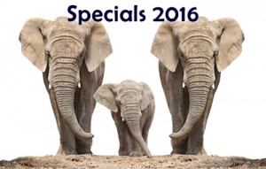 Lungile Safaris 2016 Specials